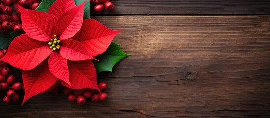 Poster - Red Christmas poinsettia flower with green leaves and red berries positioned on the left against a dark rustic wooden background with ample copy space