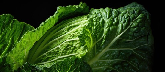 Poster - Vibrant green Savoy cabbage leaf close-up with intricate textures set against a deep black background highlighting its natural beauty and details