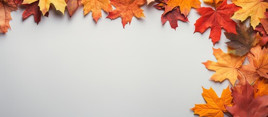 Poster - Vibrant autumn maple leaves in warm shades of orange and red framing a blank light gray background ideal for fall themed mockup designs.