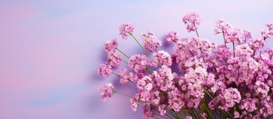 Aufkleber - Soft pastel backdrop with a vibrant bouquet of pink flowers on the right side, creating a serene and delicate floral composition.