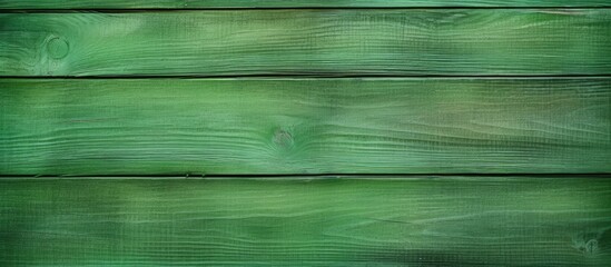 Leinwandbilder - Green wooden background with textured vertical planks in a panoramic format providing ample copy space for design or advertising needs.