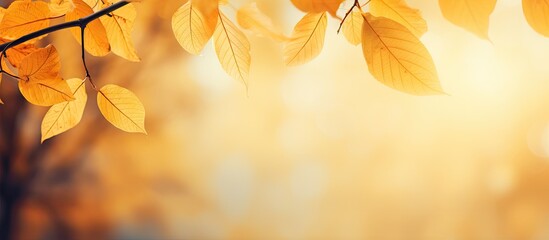 Poster - Autumn scene with soft yellow leaves in the upper left corner against a blurred warm orange background creating a tranquil atmosphere.
