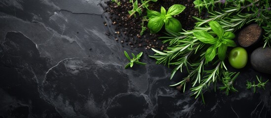 Poster - Fresh herbs, green apples, and soil arranged on a dark marble background with a minimalistic design for a clean and natural aesthetic
