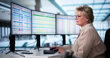 Poster - Computer Spreadsheet Data Analyst Woman