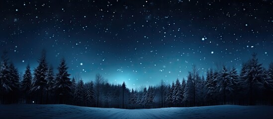 Aufkleber - Serene winter night landscape with deep blue sky filled with stars, silhouetted evergreen trees at the horizon in a tranquil snow-covered scene.