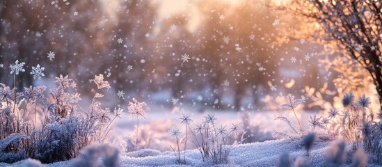 Poster - Serene winter landscape with golden sunlight illuminating delicate snowflakes falling softly on a snowy ground with frosted grass and trees