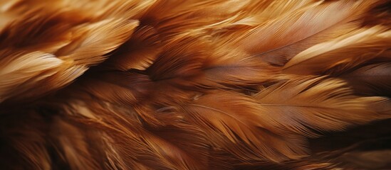 Aufkleber - Warm brown chicken feathers create a textured background with rich hues and soft gradients, enhancing visual depth and warmth in the composition.
