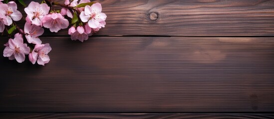 Aufkleber - Beautiful pink Sakura flowers arranged on a dark wooden board in a flat lay, positioned on the top left against a rustic background.