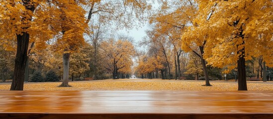 Leinwandbilder - Autumn park scene with vibrant yellow trees in background and empty brown wooden table top in foreground creating a warm seasonal atmosphere