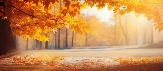 Poster - Golden autumn landscapes with vibrant orange and yellow maple leaves framing a peaceful pathway illuminated by soft sunlight in the background.