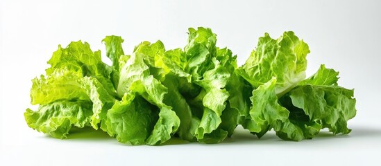 Poster - Fresh lettuce leaves arranged neatly on a bright white background emphasize their vibrant green color and crisp texture ideal for healthy meal ideas
