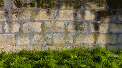 Wall Mural - background ancient stone wall overgrown with grass texture