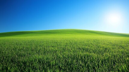 Poster - As dawn breaks, the vibrant green grassland awakens under a golden sky, creating a peaceful atmosphere that invites contemplation and connection with nature
