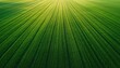 © warunthorn - Aerial View of Lush Green Agricultural Field During the Day