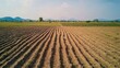© chanchai - Plowed Fields and Distant Mountains: Parallel rows of freshly plowed earth stretch towards a horizon of rolling hills and mountains under a clear sky, showcasing the beauty of agricultural landscapes.