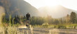 © Cavan Images - Cyclist pedaling a dirt road framed by fields and distant mountains.