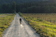 © Cavan Images - Cyclist riding a dirt trail surrounded by nature in a quiet rural area