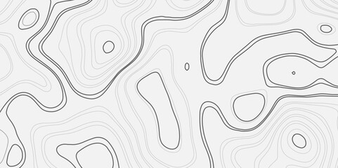Poster - abstract wavy background. detailed topographic line map showing elevation patterns. topographic cont