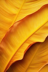 Poster - Vibrant Yellow Leaves with Unique Curves and Textures Showcasing the Beauty of Nature’s Palette in an Aesthetic Close-Up Shot for Backgrounds or Design Elements