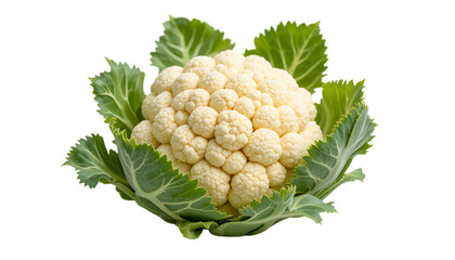 Wall Mural - Organic Cauliflower On White