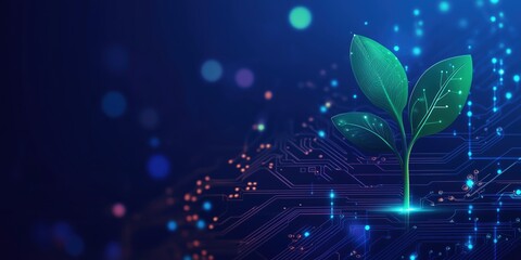  - Digital Plant Growth Symbolizing Technology and Nature Integration with Circuit Board Background
