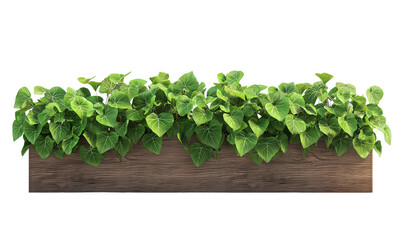 A lush arrangement of green leaves in a wooden planter, showcasing vibrant foliage and a healthy, thriving appearance isolated on white background and transparent background.