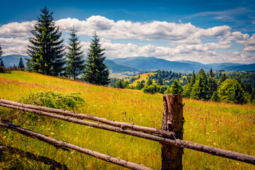 Wall Mural - Superb summer view of Carpathian mountains, Ukraine, Europe. Magnificent morning scene of mountain pasture. Beauty of countryside concept background.