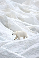 Poster - A polar bear walking across a glacier, with a vast icy landscape in the background,