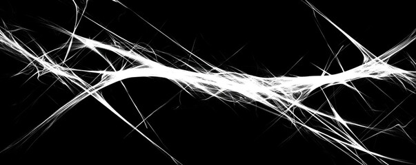 Poster - Abstract White Web Fractal Art Monochrome Composition, Black Background, Intricate Design, Glowing Lines fractal art, abstract art