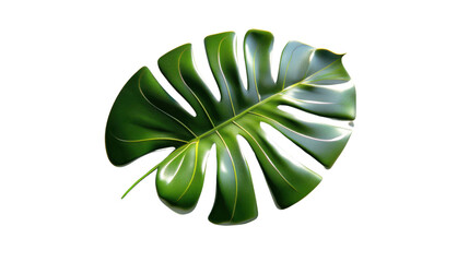 Wall Mural - Monstera Jungle Plant on transparent background