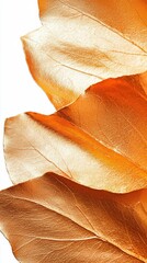 Poster - Luxurious polished gold leaf close-up artistic warm tones delicate atmosphere macro view