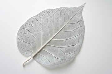 Wall Mural - Endless veins and branching details in nature-inspired leaves