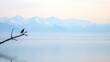 © decorator - A serene spring day at qinghai lake with a bird on a branch and hazy peaks in the background