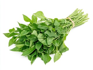 Poster - Spinach leaves on white background