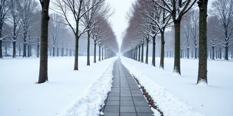 Poster - A snow-covered pathway winds through a serene winter landscape, bordered by rows of snow-laden trees, creating a tranquil and picturesque scene.