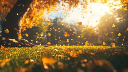 Poster - Autumn background with golden leaves on the grass in a park on a sunny day. Autumn season, fall time concept. Beautiful autumnal landscape with a fallen tree and falling leaves. Background of orange f