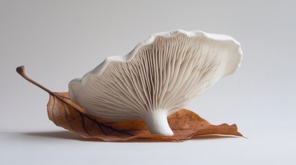 Poster - Striking 3D Render of Intricate Mushroom on Autumn Leaf in Clay Finish