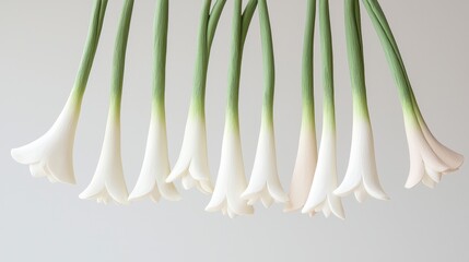 Poster - Whimsical 3D Clay Render of Fresh Leeks Brought Together in a Playful Arrangement
