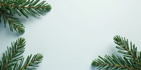 Poster - Serene Evergreen Branches Frame a Pale Blue Background, Perfect for Festive or Winter-Themed Designs