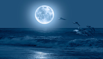 Poster - Silhoutte of beautiful dolphin jumping up from the sea at sunset with full moon 
