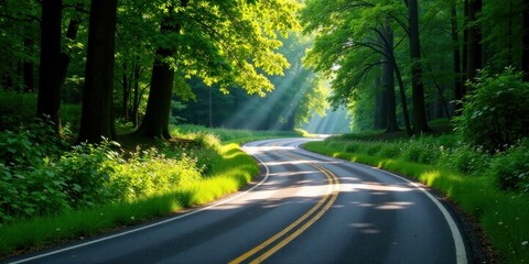 Poster - Serene Winding Road Through Lush Green Forest Canopy Bathed in Sunlight's Golden Rays