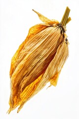 Poster - A close-up of a dried flower head on a white background, perfect for still life photography or as a symbol in design