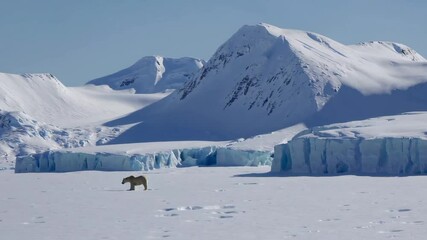 Poster - A remote Arctic landscape featuring icy blue glaciers, snow-covered peaks, and a lone polar bear walking in the distance.

