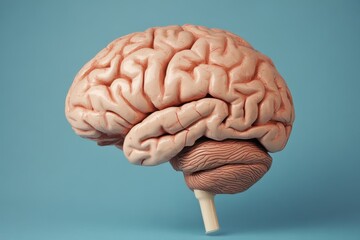 Poster - Human brain abstract background . science,head,