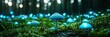 © ECLIVN - A serene forest scene featuring glowing blue mushrooms amidst lush green moss and soft grass, creating a magical atmosphere. timberland background