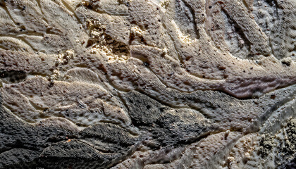 Poster - Exploring the Intricate Textures of Natural Art in a Serene Environment of a Forest