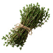 © Junaed Ahamed Sakib - Fresh thyme sprigs bundle culinary herb tied with twine isolated transparent background