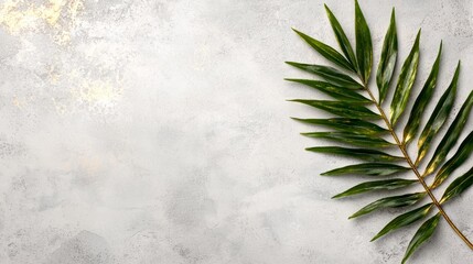 Poster - A green leaf on a gray concrete background