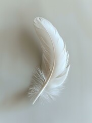 Poster - Elegant white feather on light gray background, perfect for spiritual designs, wedding invitations, and peaceful concept artworks. Isolated object with soft details and delicate texture.