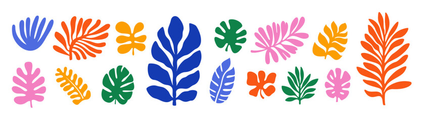 tropical plant leaves llustration set. modern botanical illustration of monstera, palm leaf, banana 